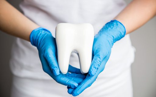A dental professional holds a large tooth in her hands. You cannot see her face.